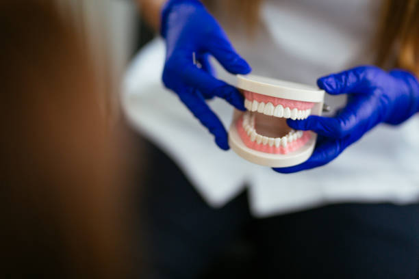 Best Emergency Dental Care  in Homosassa, FL